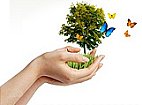964_charity