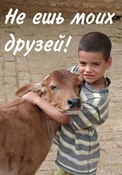 Друзья Cow
