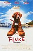 Fluke 968_fluke