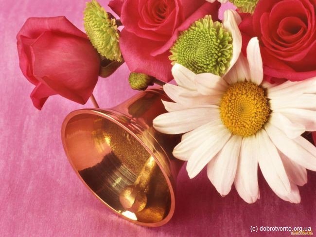 День Знаний 979_1